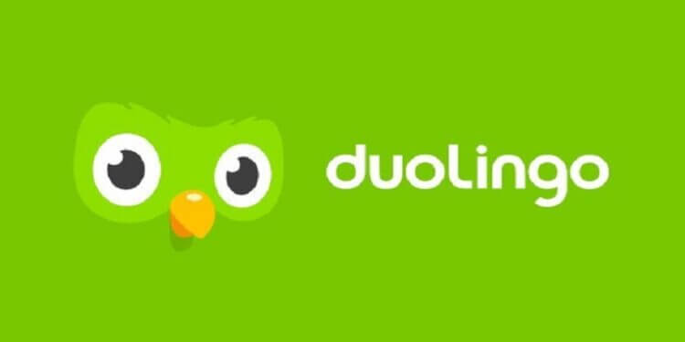 duolingo apk for android